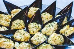 Mini crab cakes on a catering tray